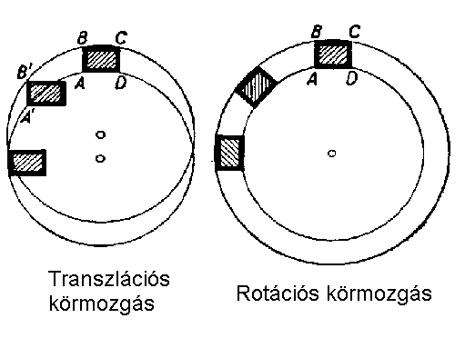 Transzlcis krmozgs